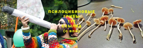 MESCALINE Бежецк