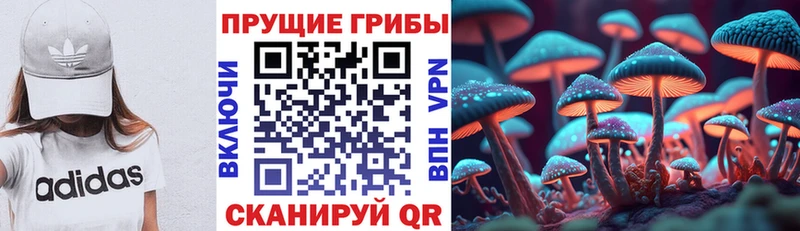 Галлюциногенные грибы ЛСД  Бежецк 